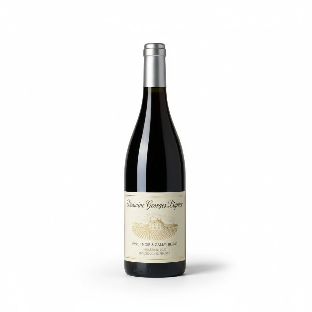 Domaine Georges Lignier, Bourgogne Passetoutgrain 2022, Burgundy